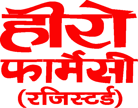 hero logo